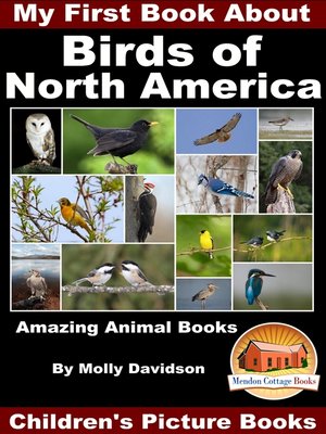 cover image of My First Book About the Birds of North America